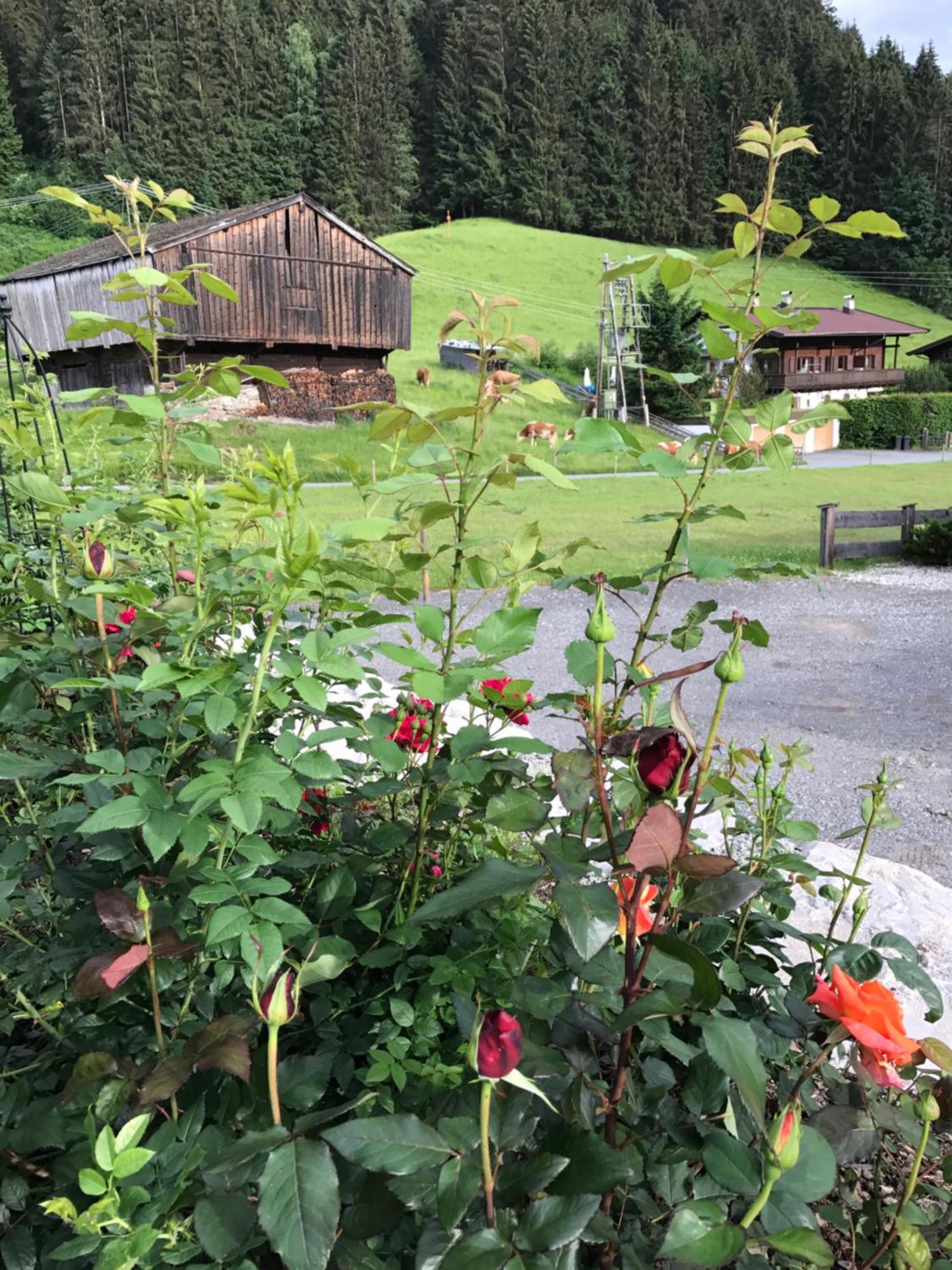 Das Kitz Jochberg Luaran gambar